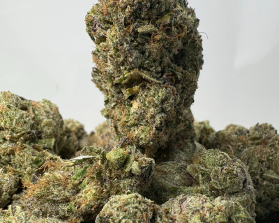 PINK GHOST (BIGS) - TRIP GAS
