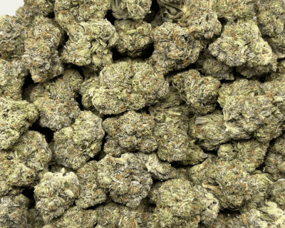 PINK GHOST (BIGS) - TRIP GAS (DEAL OF THE WEEK) - Image 3