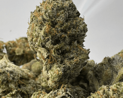 PINK GHOST (SMALLS) - TRIP GAS