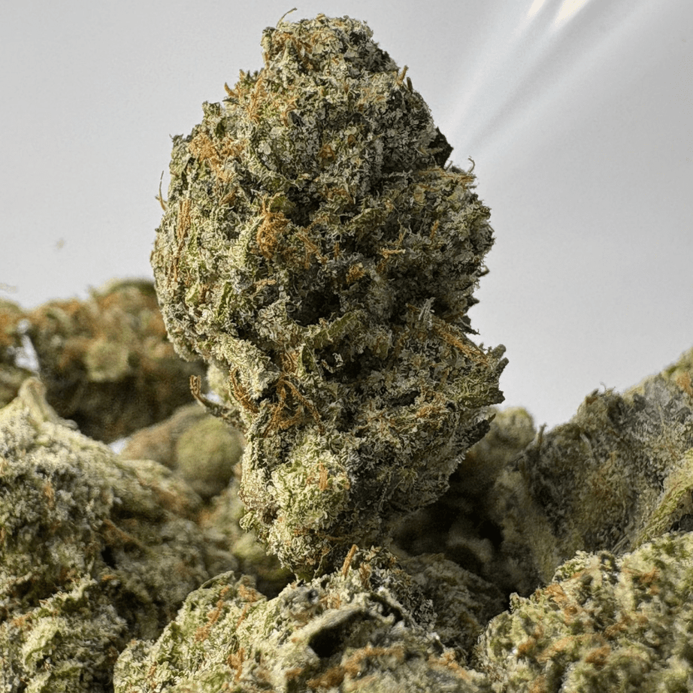 PINK GHOST (SMALLS) - TRIP GAS