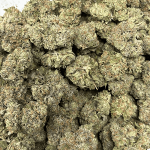 PINK PINE (BIGS) - TRIP GAS - Image 3