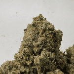 PINK PINE (BIGS) - TRIP GAS