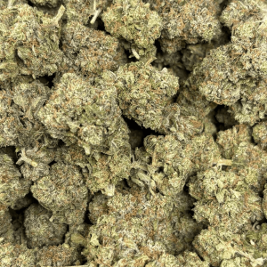 PINK PINE (BIGS) - TRIP GAS - Image 2