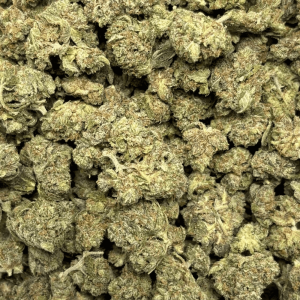 PINK PINE (SMALLS) - TRIP GAS - Image 2