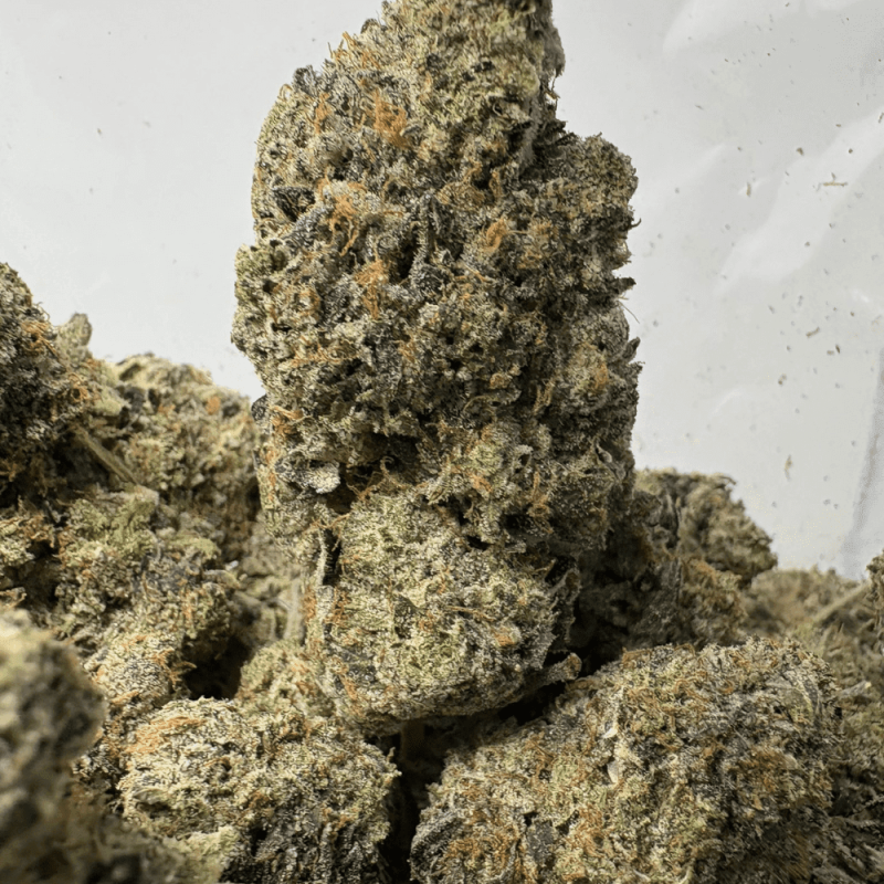 PINK PLUTO (LSO GAS)