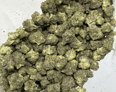 PINK FUGAZZI (SMALLS) - QUAD GAS - Image 3