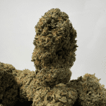 PINK GAS (BIGS) - TRIP GAS