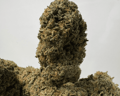 PINK GAS (BIGS) - TRIP GAS