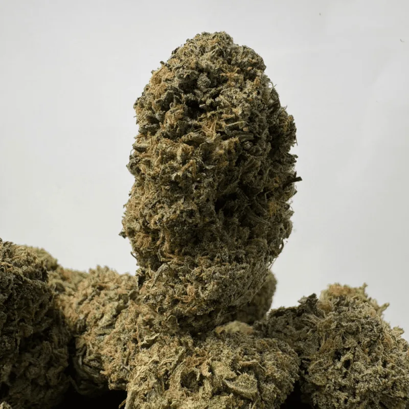 PINK GAS (BIGS) - TRIP GAS