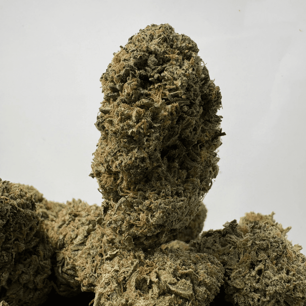 PINK GAS (BIGS) - TRIP GAS PINK GAS (BIGS) - TRIP GAS