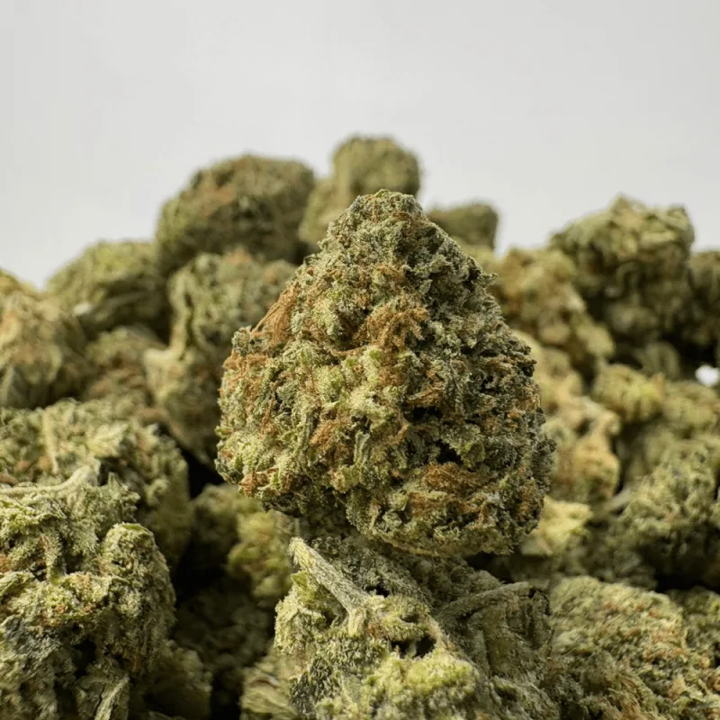 PINK GAS (SMALLS) - TRIP GAS