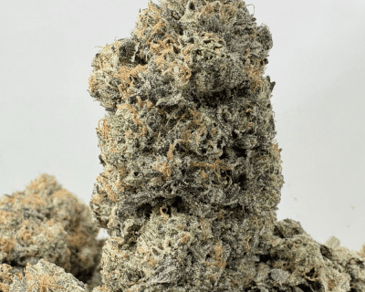 PINK KEROSENE (BIGS) - QUAD GAS