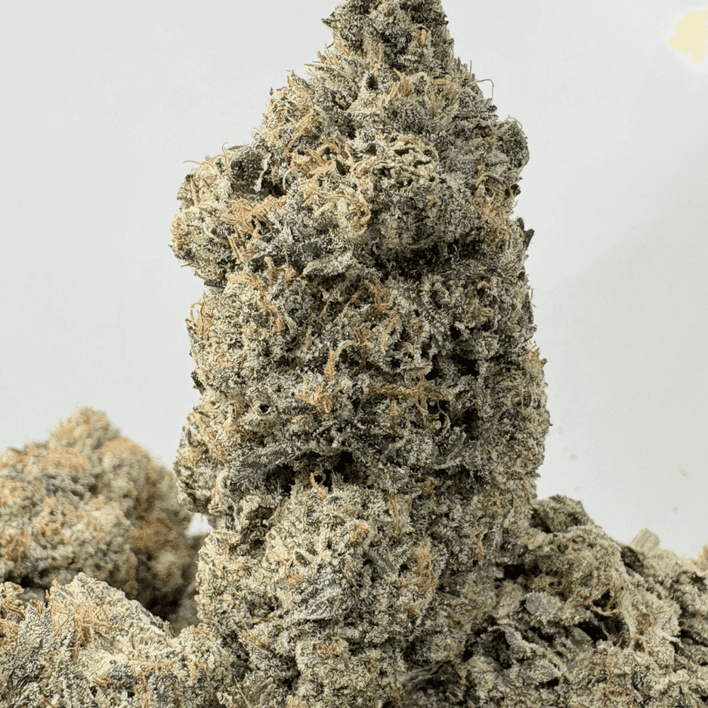 PINK KEROSENE (BIGS) - QUAD GAS