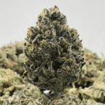 PINK KEROSENE (SMALLS) - QUAD GAS