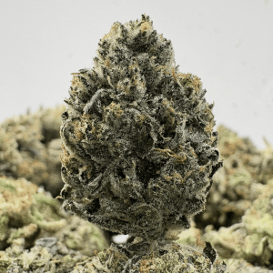 PINK KEROSENE (SMALLS) - QUAD GAS