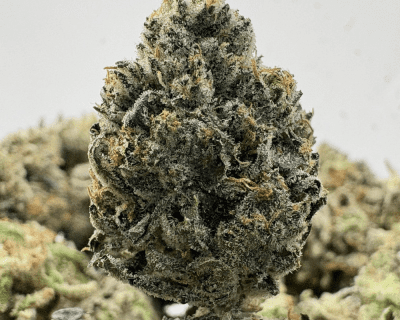 PINK KEROSENE (SMALLS) - QUAD GAS