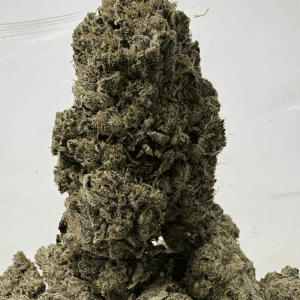 PINK PLAY-DOH (BIGS) - QUAD GAS