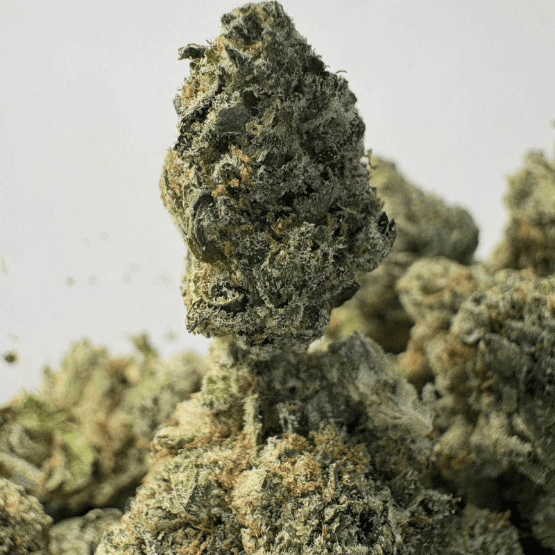 PINK PLAY-DOH (SMALLS) - QUAD GAS PINK PLAY-DOH (SMALLS) - QUAD GAS