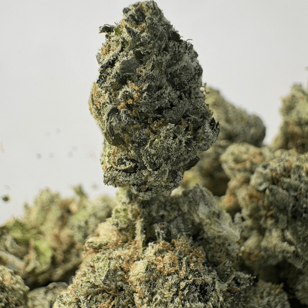 PINK PLAY-DOH (SMALLS) - QUAD GAS