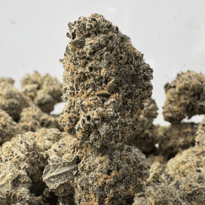 PINK RUNTZ (SMALLS) - TRIP EXOTICS