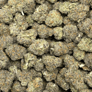 PINK RUNTZ (SMALLS) - TRIP EXOTICS - Image 2