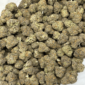 PINK RUNTZ (SMALLS) - TRIP EXOTICS - Image 3