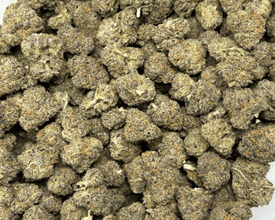 PINK RUNTZ (SMALLS) - TRIP EXOTICS - Image 3