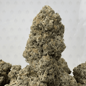 PINK SWAT (BIGS) - QUAD GAS