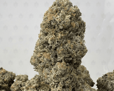 PINK SWAT (BIGS) - QUAD GAS