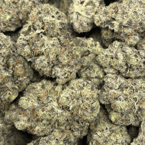 PINK SWAT (BIGS) - QUAD GAS - Image 2