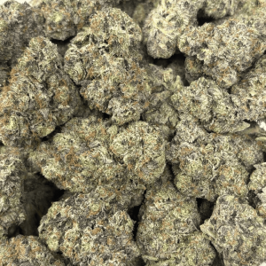 PINK SWAT (BIGS) - QUAD GAS - Image 3