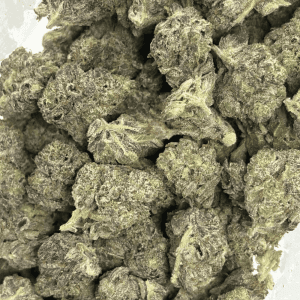 PINK SWAT (SMALLS) - QUAD GAS - Image 3