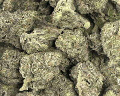 PINK SWAT (SMALLS) - QUAD GAS - Image 2