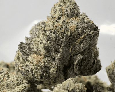 PINK SWAT (SMALLS) - QUAD GAS