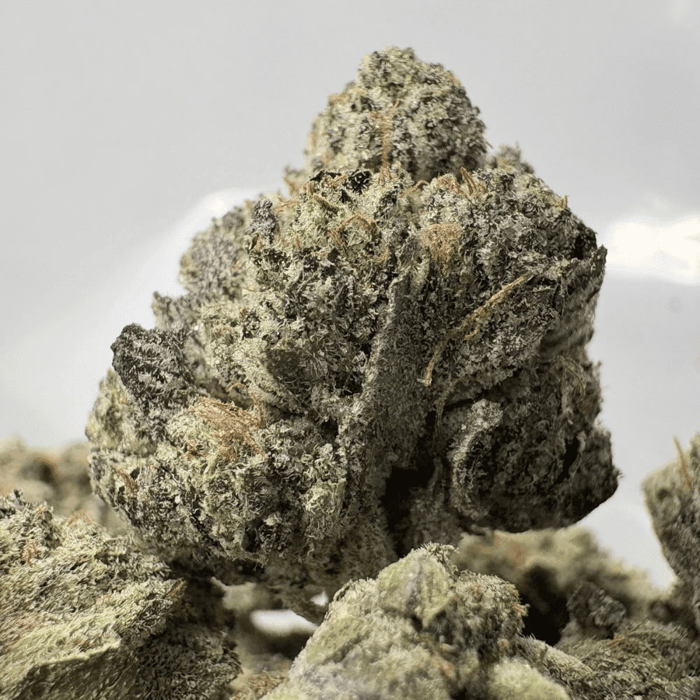 PINK SWAT (SMALLS) - QUAD GAS