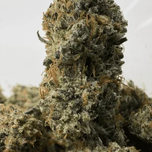 PINK TRAP STAR (LSO GAS)