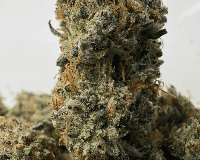 PINK TRAP STAR (LSO GAS)