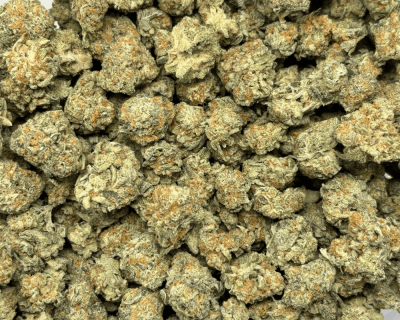 PLATINUM DOSI (SMALLS) - QUAD EXOTICS - Image 3