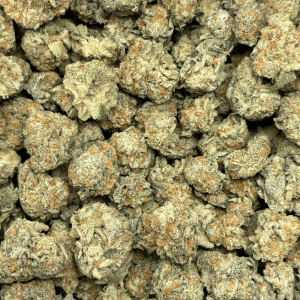 PLATINUM DOSI (SMALLS) - QUAD EXOTICS - Image 2