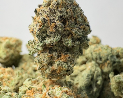 PLATINUM DOSI (SMALLS) - QUAD EXOTICS