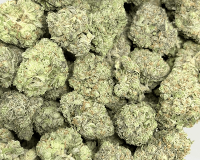 PURPLE ROCKSTAR (BIGS) - QUAD GAS - Image 3