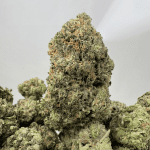 PURPLE ROCKSTAR (BIGS) - QUAD GAS