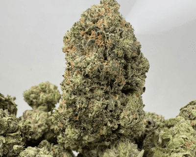 PURPLE ROCKSTAR (BIGS) - QUAD GAS