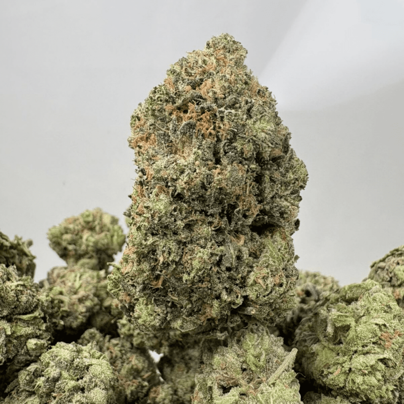 PURPLE ROCKSTAR (BIGS) - QUAD GAS