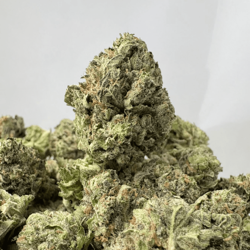 PURPLE ROCKSTAR (SMALLS) - QUAD GAS PURPLE ROCKSTAR (SMALLS) - QUAD GAS