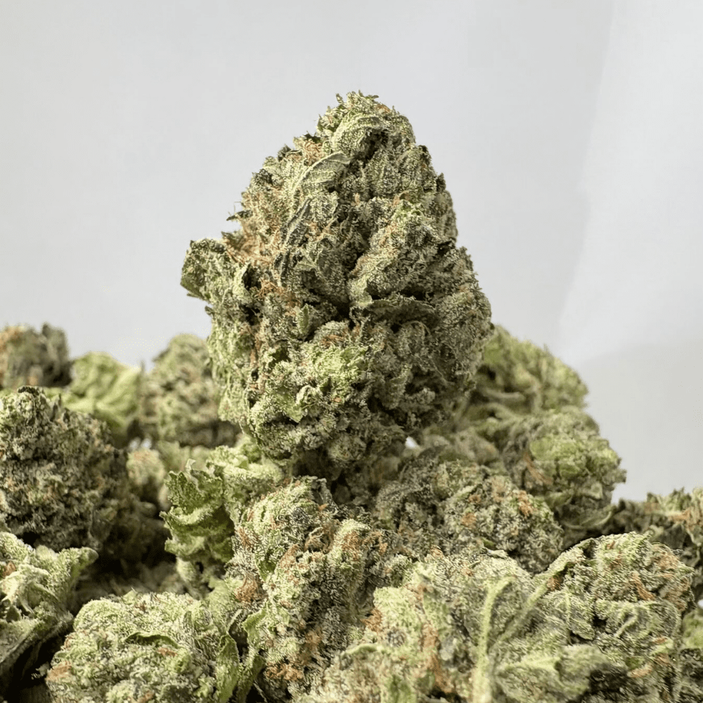 PURPLE ROCKSTAR (SMALLS) - QUAD GAS PURPLE ROCKSTAR (SMALLS) - QUAD GAS