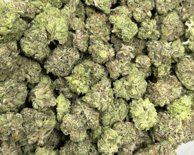 PURPLE ROCKSTAR (SMALLS) - QUAD GAS - Image 3