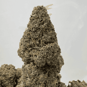 RUNTZLATO (BIGS) - TRIP EXOTICS