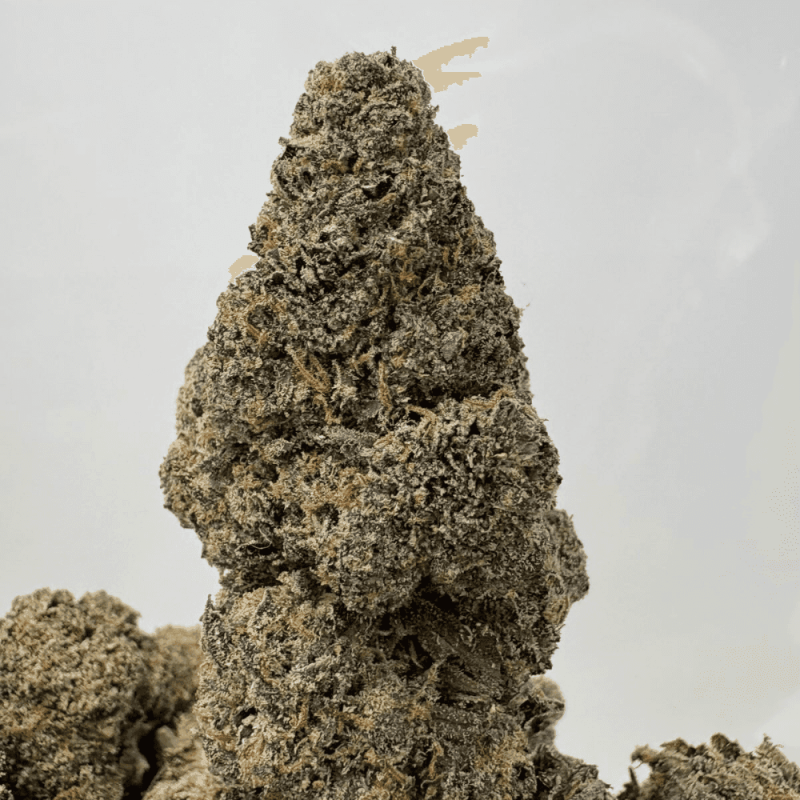 RUNTZLATO (BIGS) - TRIP EXOTICS