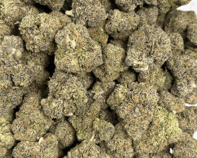 RUNTZLATO (BIGS) - TRIP EXOTICS - Image 3